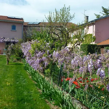 gîte Rose-Thé Couette-café Ambérieu-en-Bugey